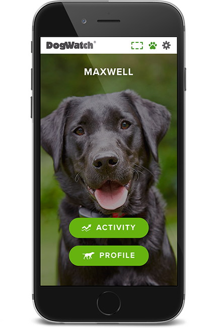 DogWatch of the Shenandoah Valley, Dayton, Virginia | SmartFence WebApp Image