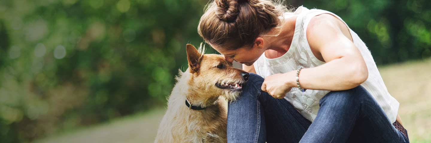 DogWatch of the Shenandoah Valley, Dayton, Virginia | BarkCollar No-Bark Trainer Slider Image