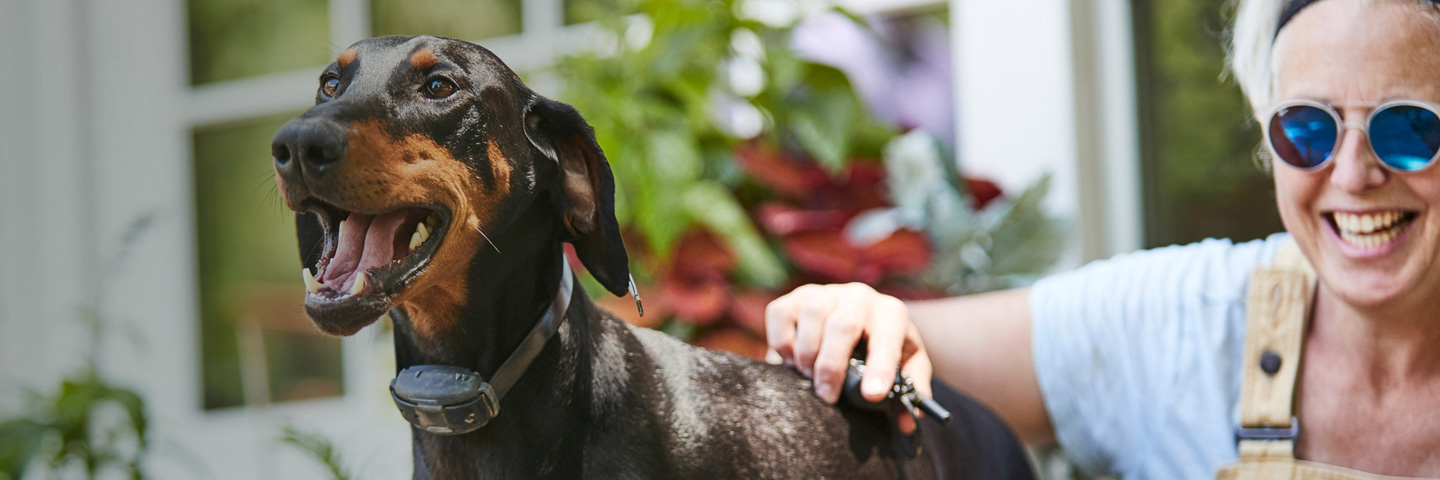 DogWatch of the Shenandoah Valley, Dayton, Virginia | Remote Dog Training Collars Slider Image